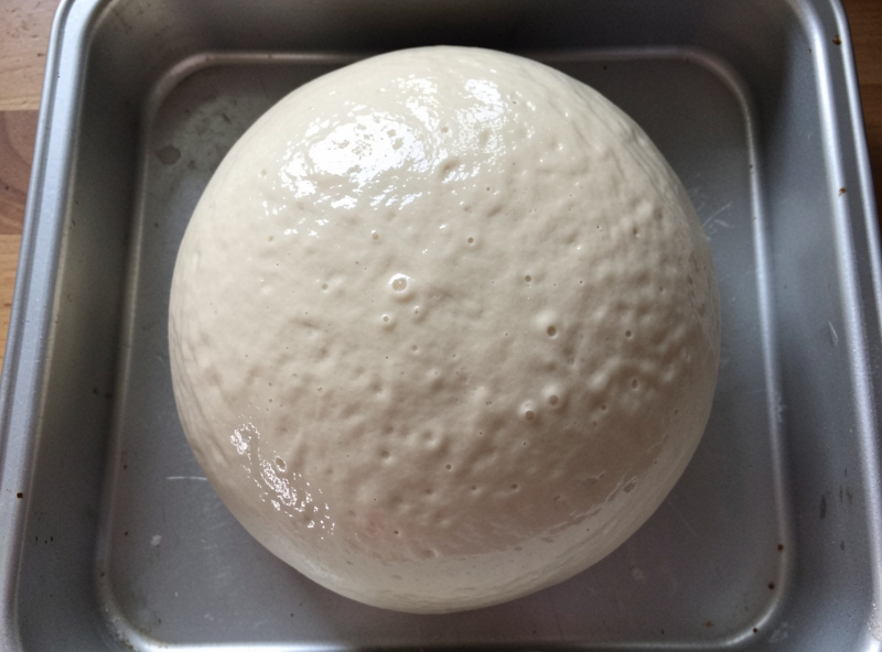 Smooth round ball of fermented sourdough pizza dough in a proofing tray